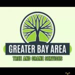 Greater Bay Area Tree And Crane Services