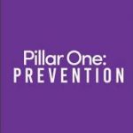 Pillar One, LLC